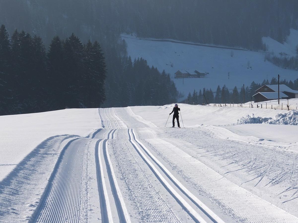Landgasthof Pfeffermuehle Kotschach-Mauthen Cameră foto